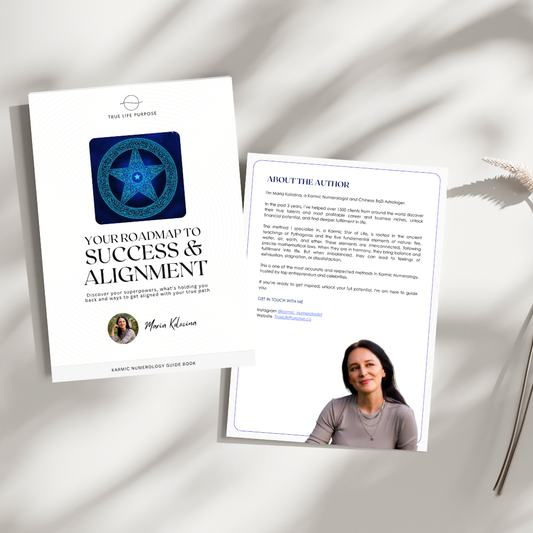 5 DIGIT LIFE CODE: Your Road Map to Success & Alignment - Guide